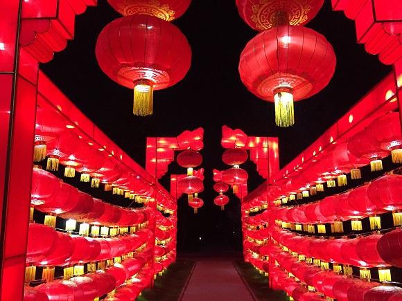 紅  北院區(qū)  婦產(chǎn)科  張瑛.jpg
