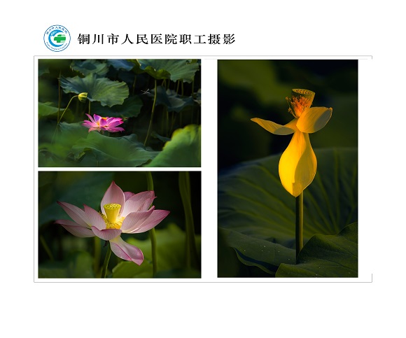 荷  北院區(qū)  工會  郭廣舍.jpg