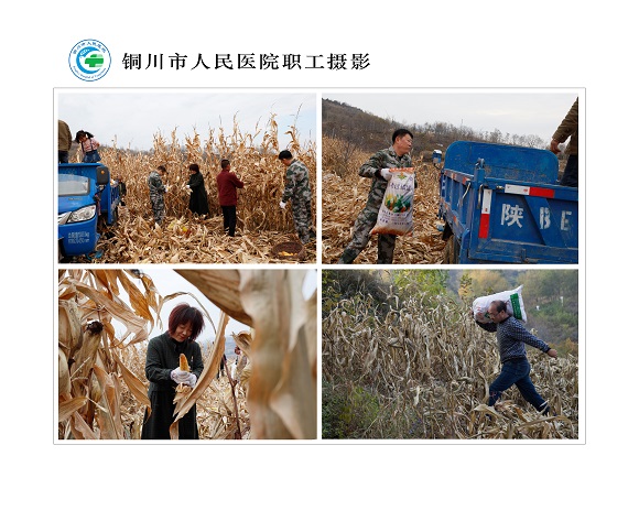 秋收（醫(yī)院幫扶團隊為幫扶戶收包谷）  北院區(qū)  工會  郭廣舍.jpg