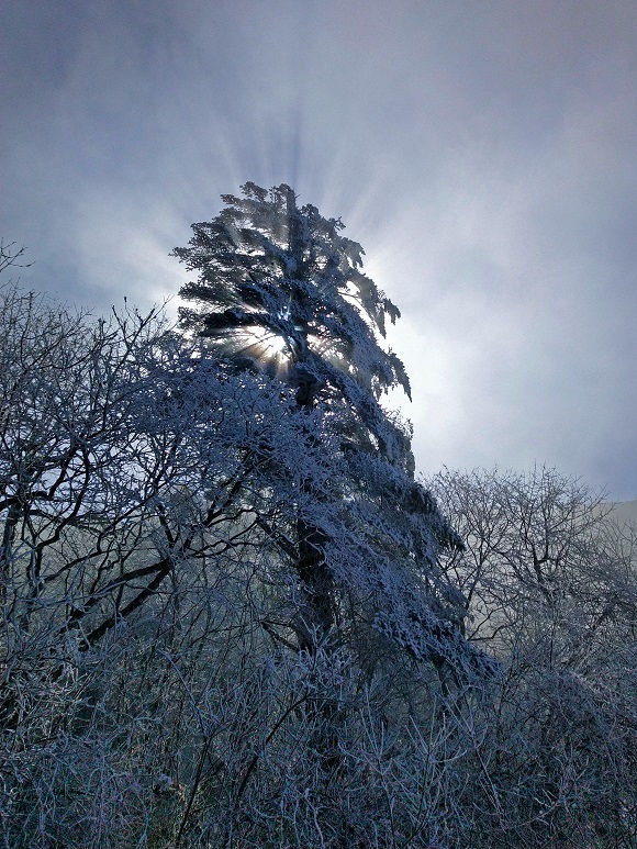 雪霽  北院區  泌尿外科  張明.jpg