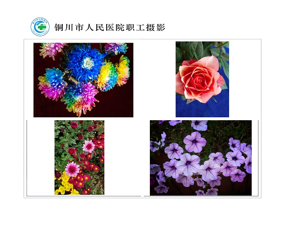 花韻  北院區  泌尿外科  張明.jpg