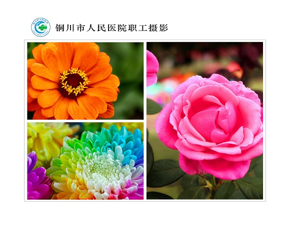 綻放  北院區  營養科  梁曉霞.jpg