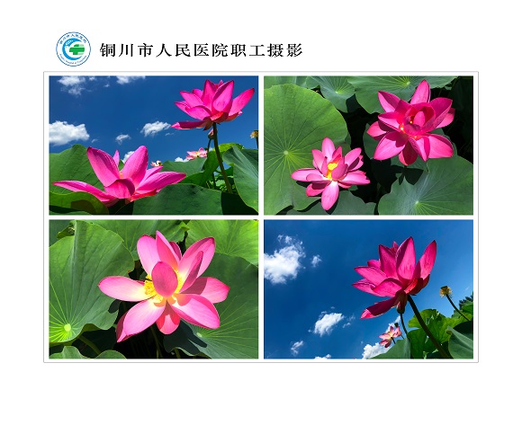 荷韻  南院區(qū)  超聲科  李彥婷.jpg