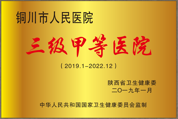 30.1 三級甲等醫院_副本.png