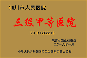 三級甲等醫院