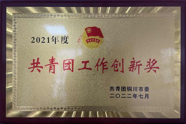 我院團委榮獲2021年度共青團工作創新獎