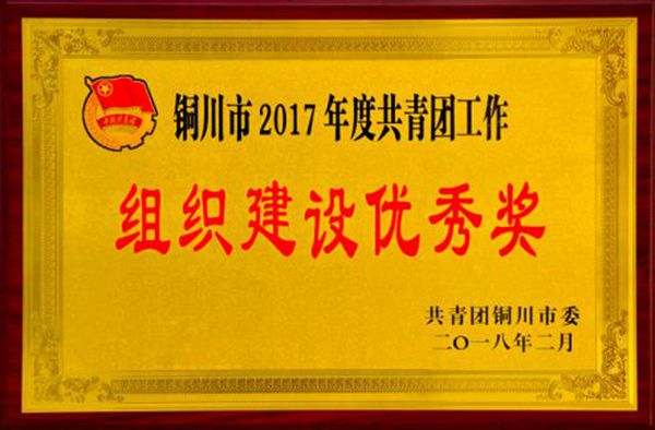 我院團委榮獲“組織建設優秀獎”榮譽稱號