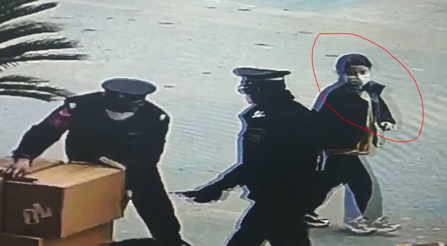 捕獲7