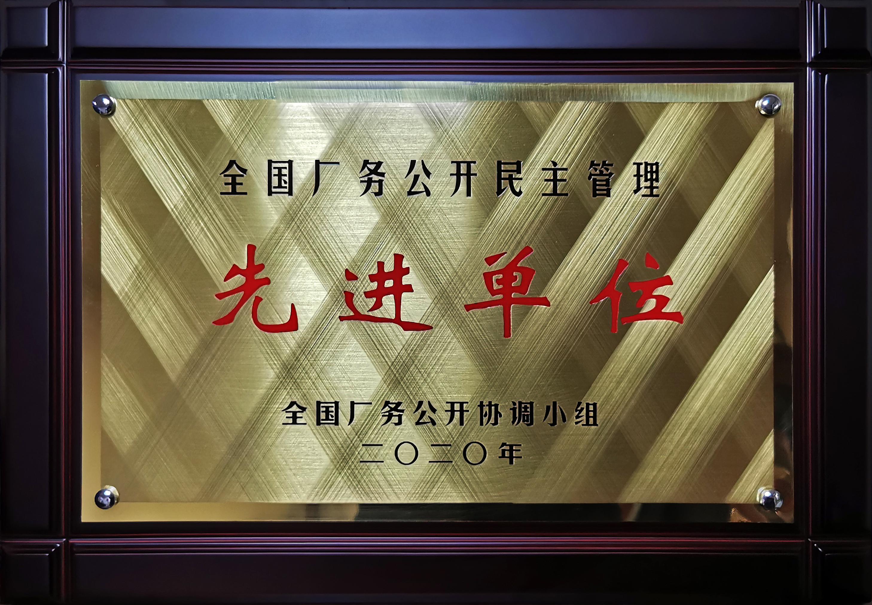 圖片 9