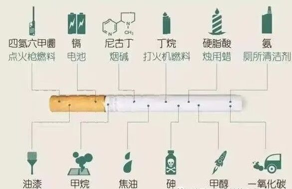 圖片 3